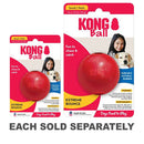 Kong Ball Toy