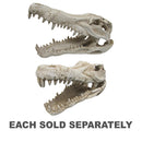 iPetz Croc Skull Reptile Accessory