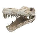 iPetz Croc Skull Reptile Accessory