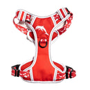 NRL Dolphins Pet Harness