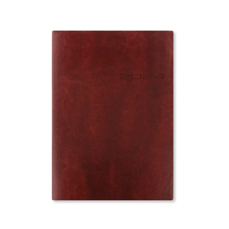 2024 Lecassa A5 Day to Page with Appointments Diary