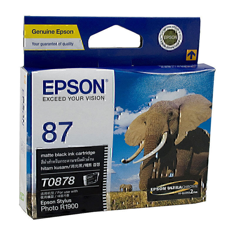 Epson T087 Ink Cartridge
