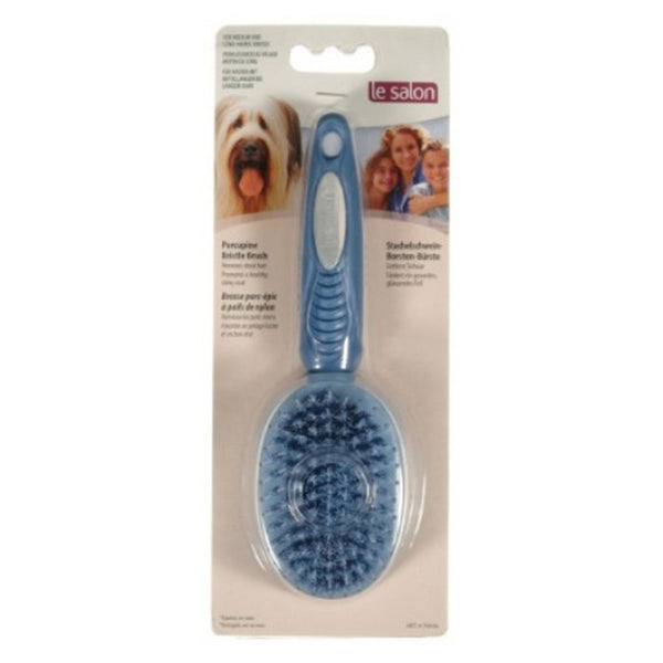 Le Salon Dog Porcupine Bristle Brush (Medium)
