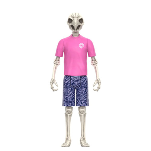 Powell Peralta Tony Hawk