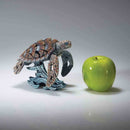 Edge Miniature Sea Turtle