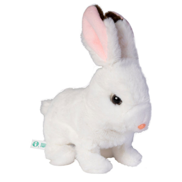 Bunny Animated Pet Toy