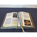 HEXplore It: the Fall of the Ancients Campaign Book RPG