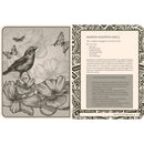 Lost Book of Spells Journal