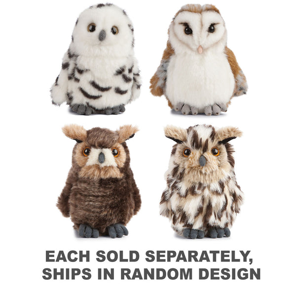 Living Nature Owls