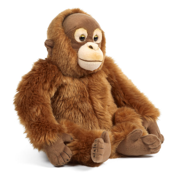 Living Nature Orangutan