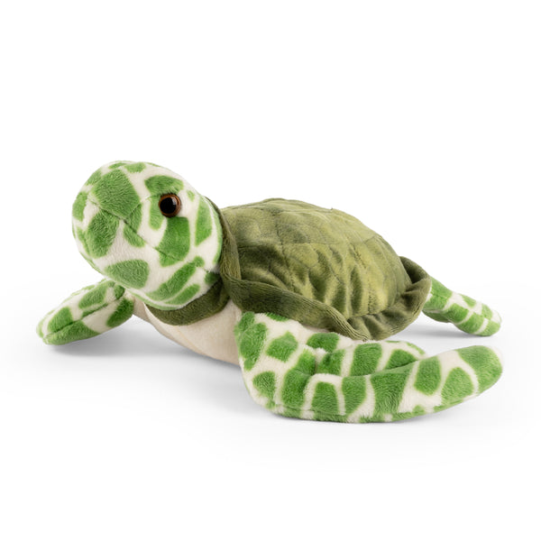 Living Nature Sea Turtle