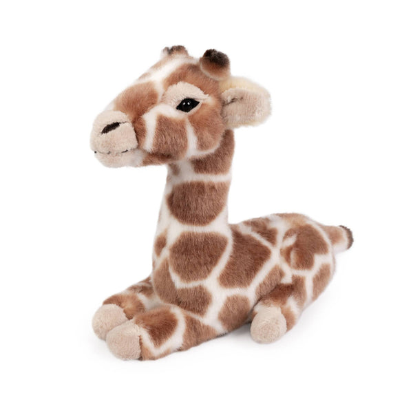 Living Nature Lying Giraffe Calf