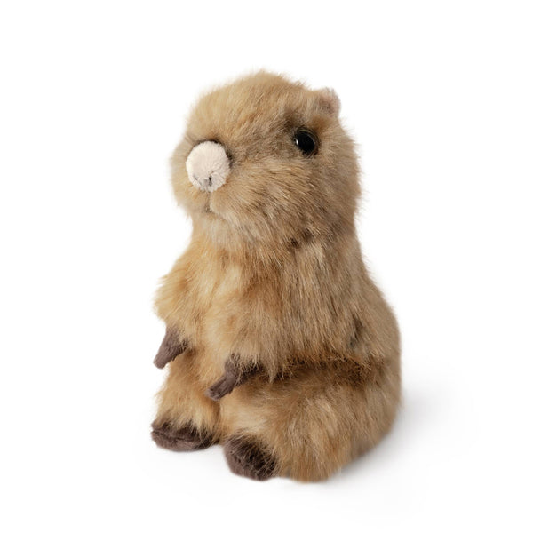 Living Nature Sitting Capybara Pup