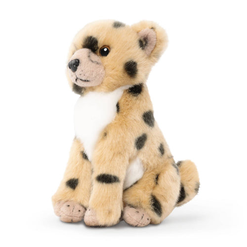Living Nature Sitting Cheetah Cub
