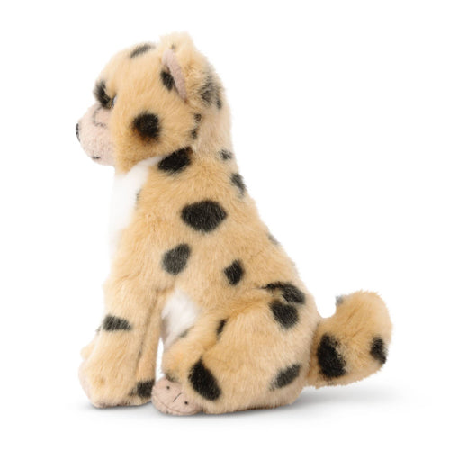Living Nature Sitting Cheetah Cub