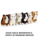 Living Nature Cat (Small)