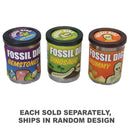 Keycraft Fossil Dig in Tub