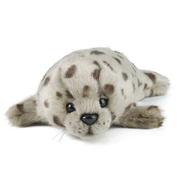 Living Nature Common Seal Pup
