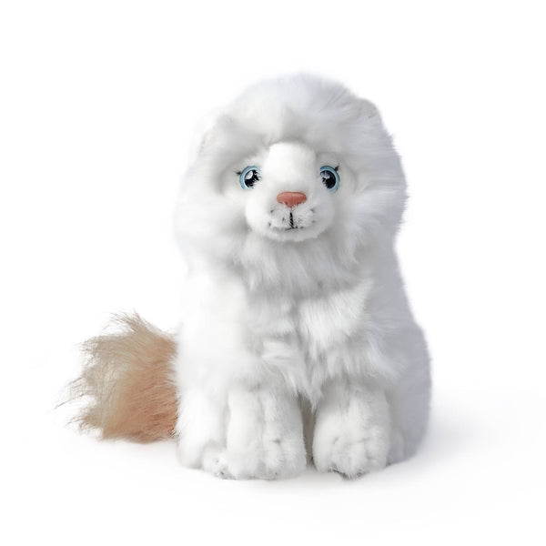 Living Nature Ragdoll Kitten