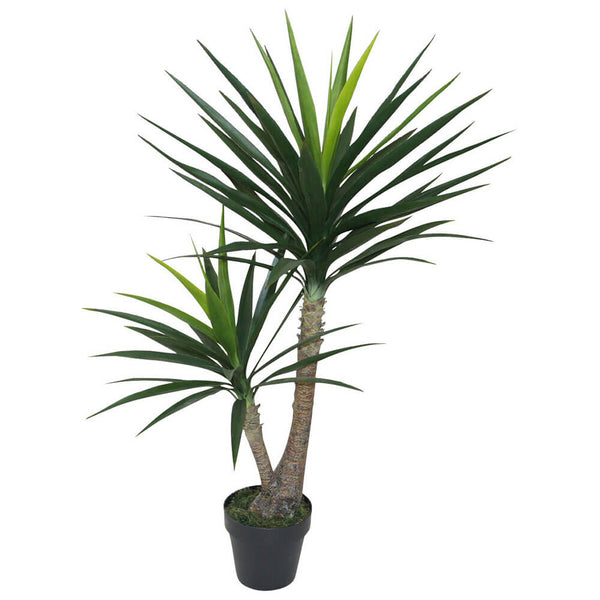 Yucca Plant in Pot 125cm