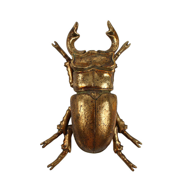 Angi Resin Beetle (13x10x5cm)