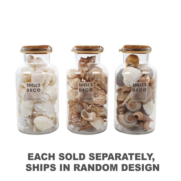 Faro Mix Sea Shells in Glass Bottle with Cork 3 Assorted