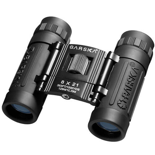 Compact Lucid View Binoculars