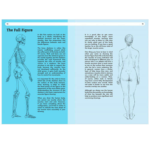Drawing Anatomy: A Practical Course for Artists