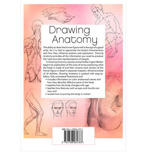 Drawing Anatomy: A Practical Course for Artists