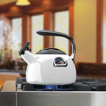 Cuisinart PerfecTemp Stove Kettle