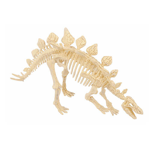 Stegosaurus Paleontology Kit
