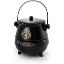 Harry Potter Hogwarts Ceramic Single Serve Teapot
