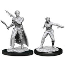 D&D Nolzur's Marvelous Unpainted Minis Shifter Rogue Female