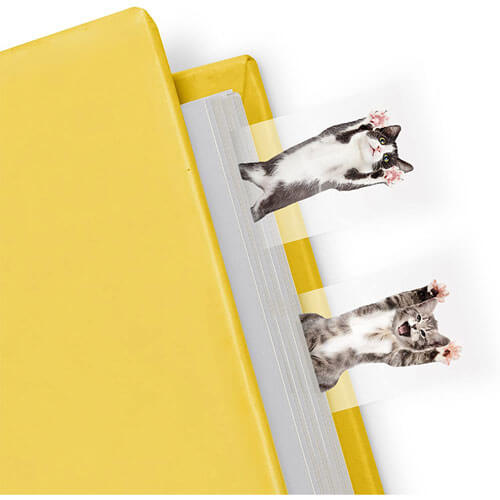 Cat in a Book