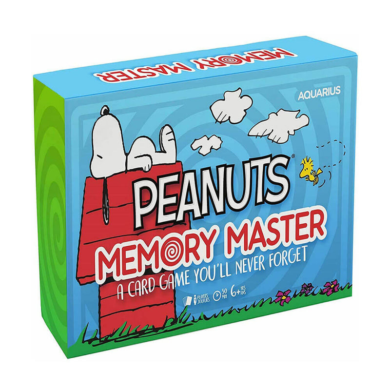 Aquarius Memory Master Card Game